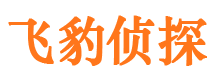 阳西找人公司